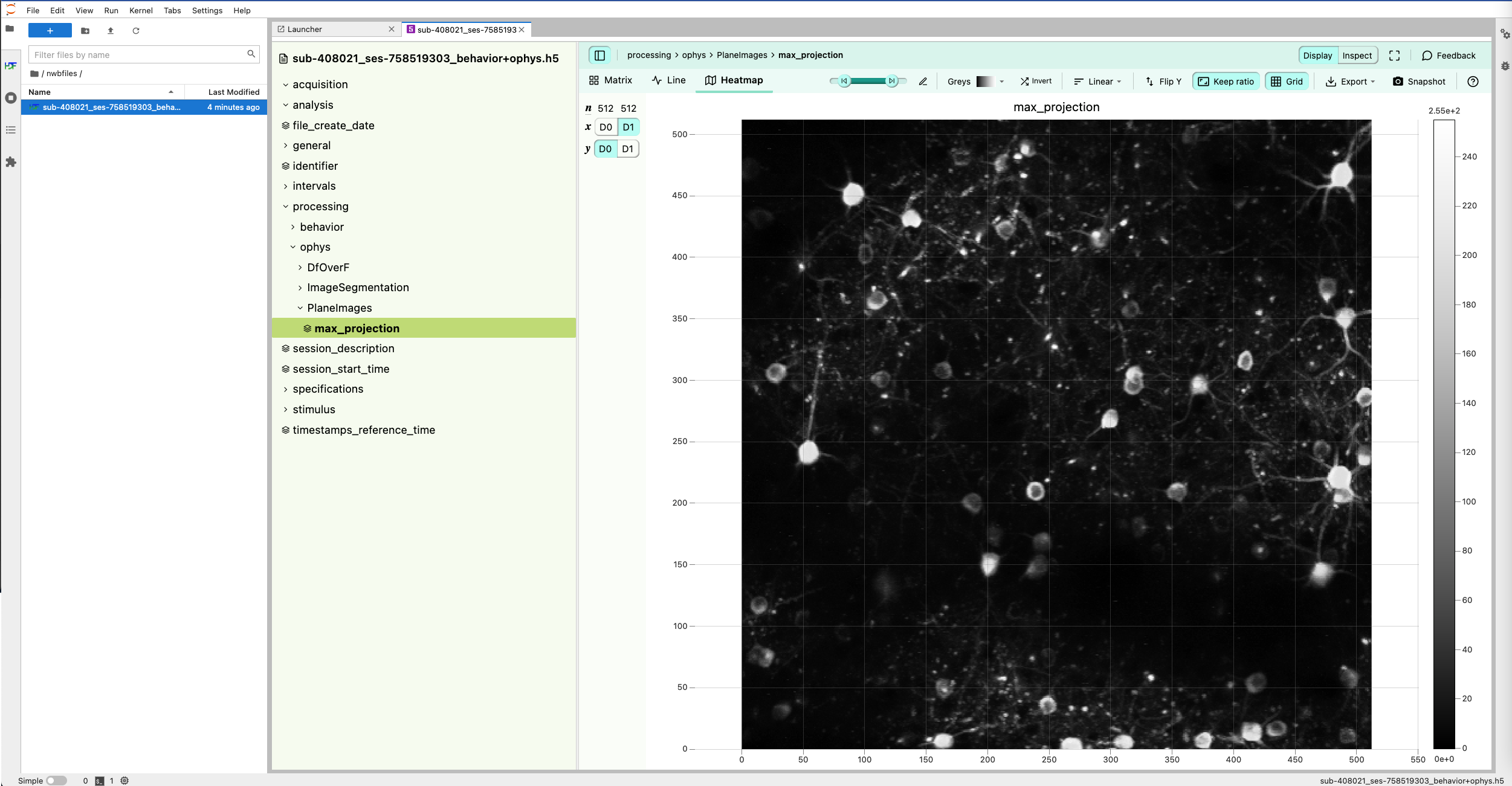 HDF Tools